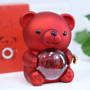 Red Teddy Bear with Preserved Rose and pendent